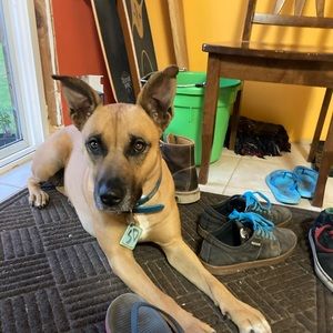 Meet your Posher, Cherish